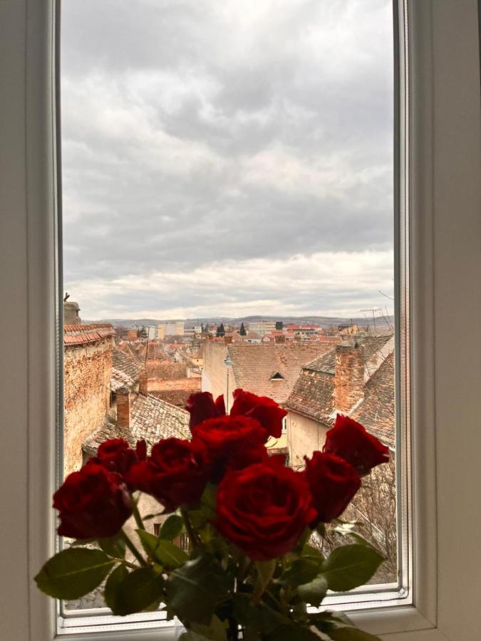 Enjoy Lägenhet Sibiu Exteriör bild