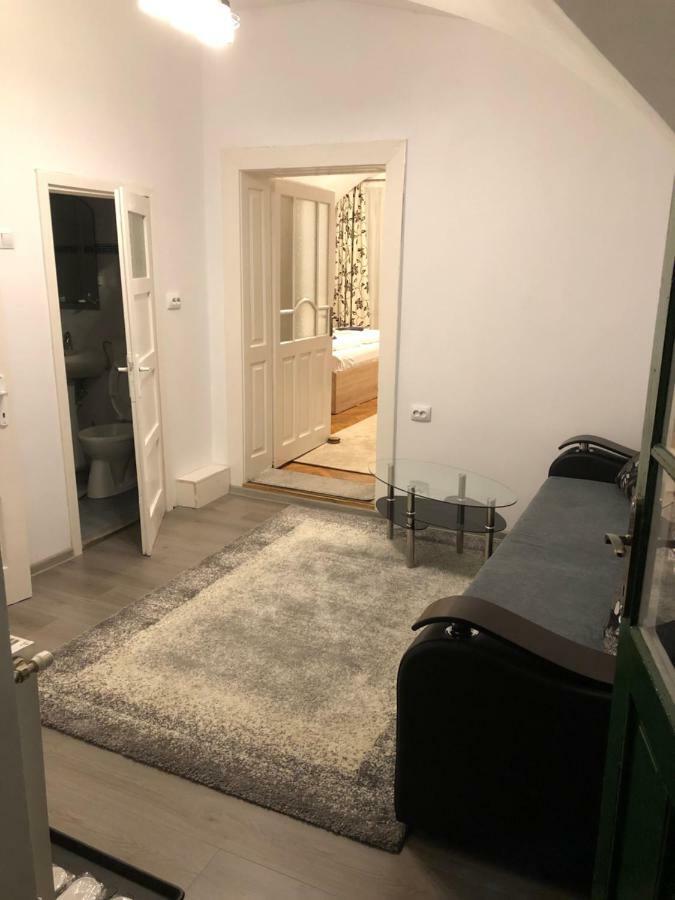 Enjoy Lägenhet Sibiu Exteriör bild