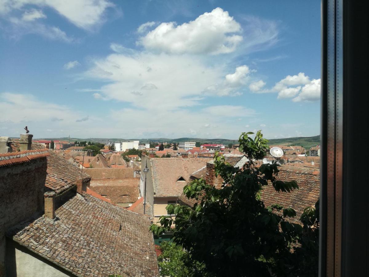 Enjoy Lägenhet Sibiu Exteriör bild